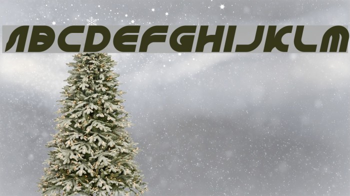 GAPHIC DESIGN Italic Example 2