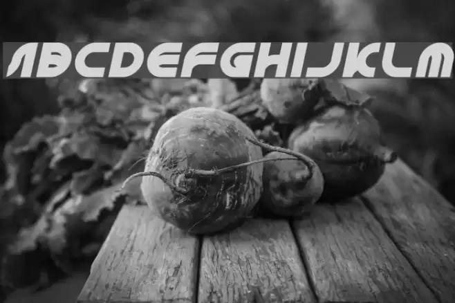 GAPHIC DESIGN Italic Font examples