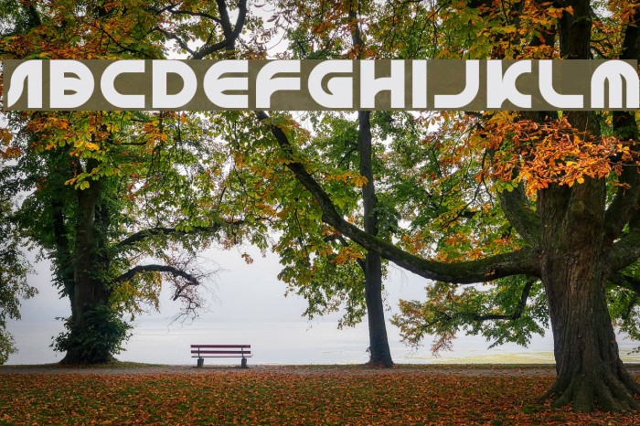GAPHIC DESIGN-Light Font examples