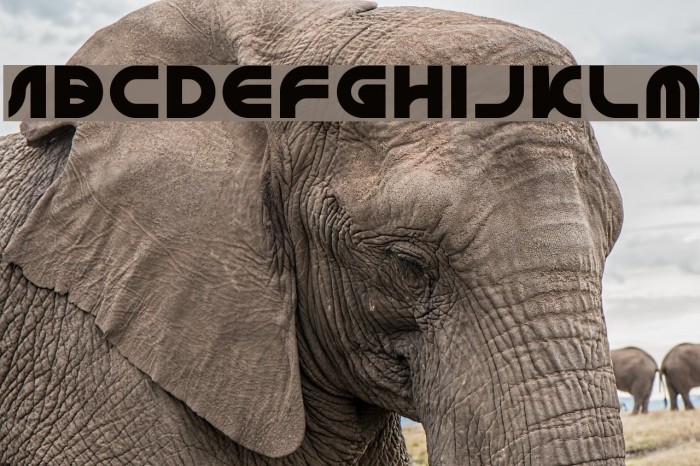 GAPHIC DESIGN-Light Font examples