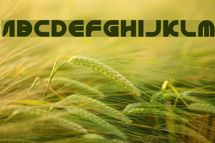 GAPHIC DESIGN Example 2