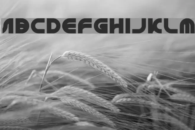 GAPHIC DESIGN Font examples