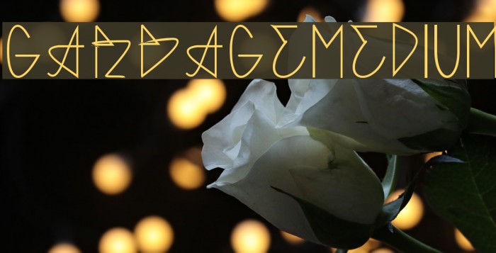 GARBAGE MEDIUM Font examples