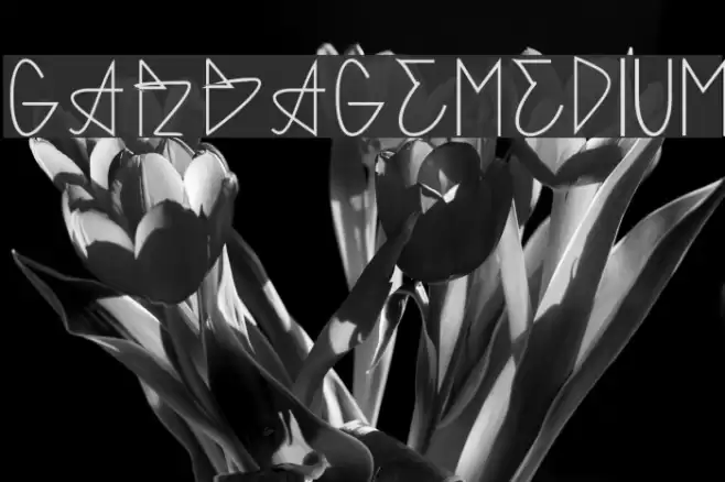 GARBAGE MEDIUM Font examples