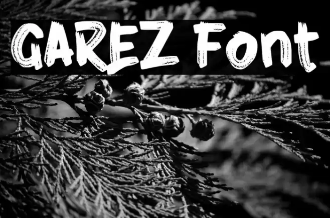 GAREZ Font examples