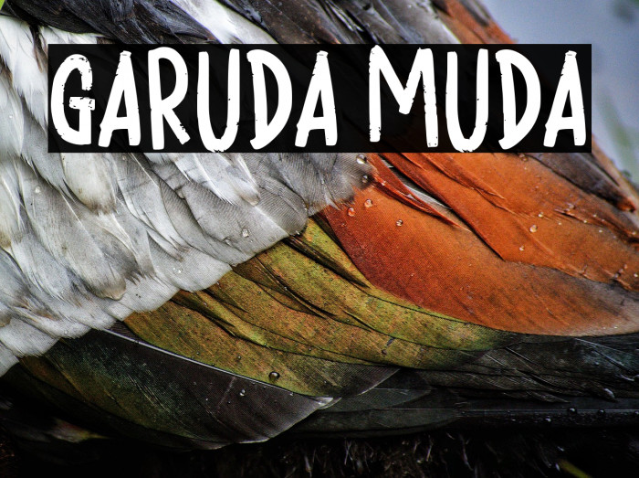GARUDA MUDA Example 2
