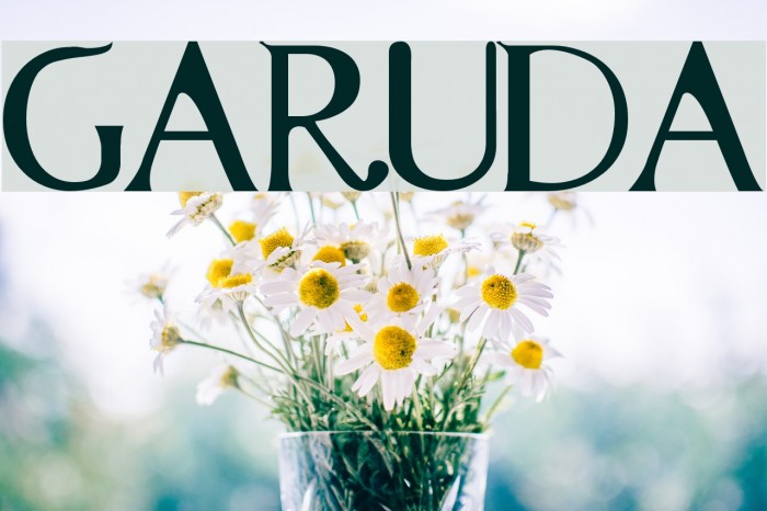 GARUDA Font examples