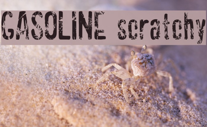 GASOLINE scratchy Polices examples