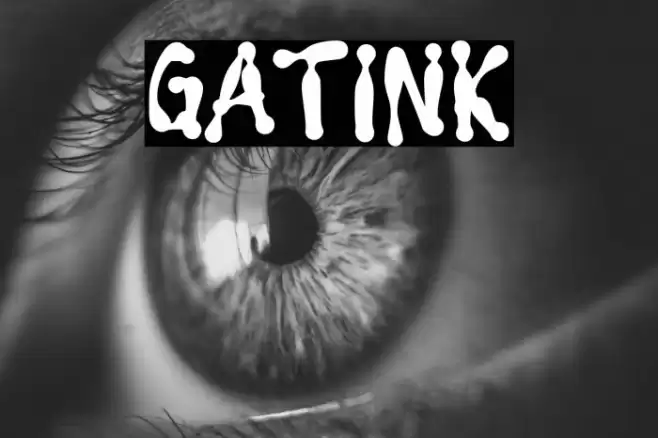 GATINK Font examples