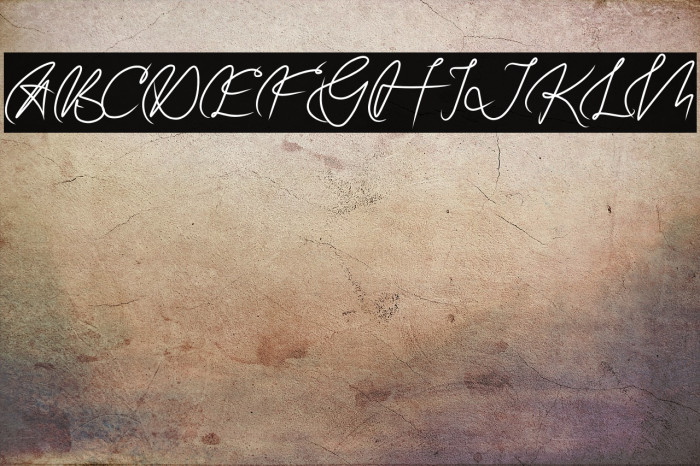 GATUSSO DEMO Example 2