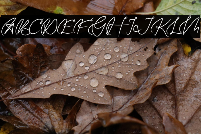 GATUSSO DEMO Example 3