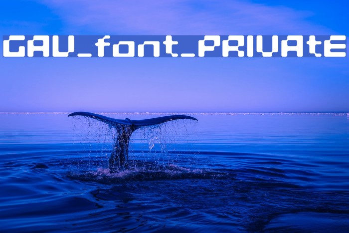 GAU_font_PRIVAtE Font examples
