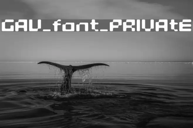 GAU_font_PRIVAtE Шрифта examples