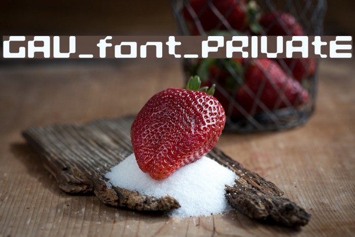GAU_font_PRIVAtE Font examples