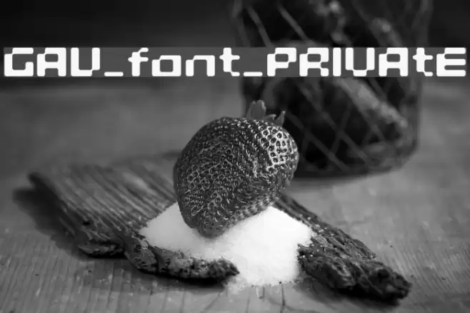 GAU_font_PRIVAtE Шрифта examples