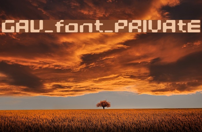 GAU_font_PRIVAtE Font examples