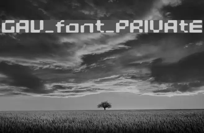 GAU_font_PRIVAtE Шрифта examples