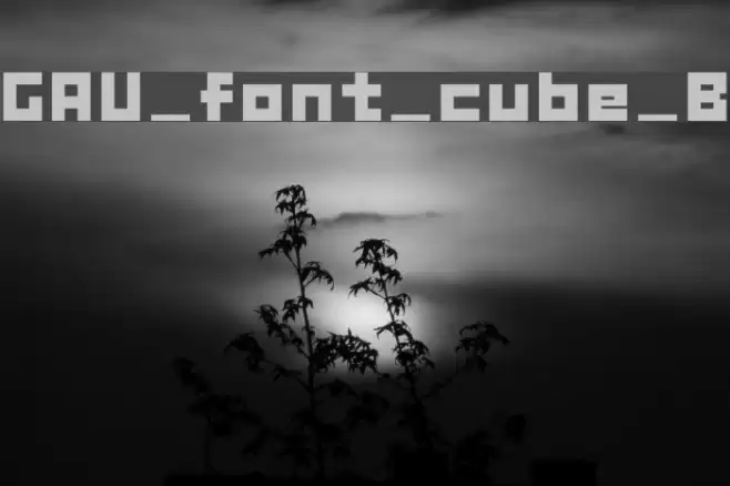 GAU_font_cube_B Fonte examples