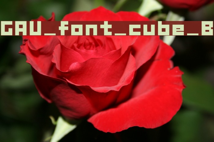 GAU_font_cube_B Font examples
