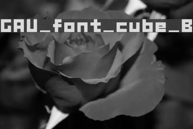 GAU_font_cube_B Fonte examples