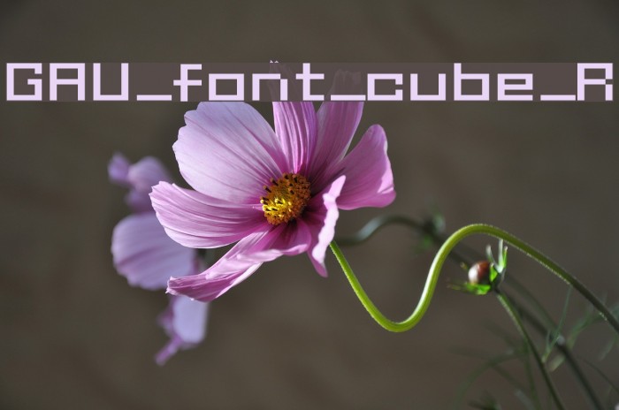 GAU_font_cube_R Fuentes examples