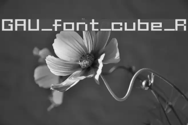 GAU_font_cube_R Fuentes examples