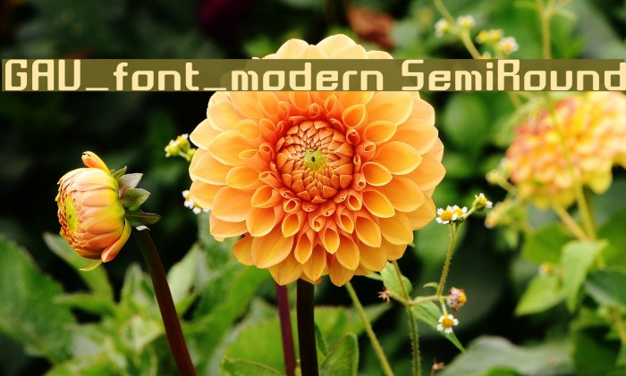 GAU_font_modern SemiRound Font examples