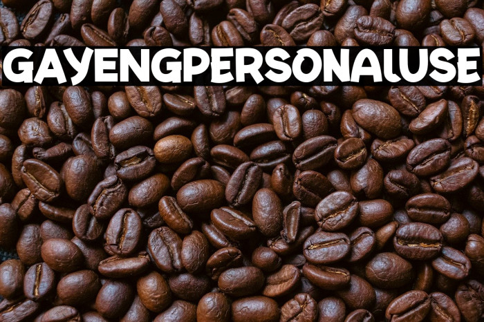 GAYENGPersonalUse Example 3