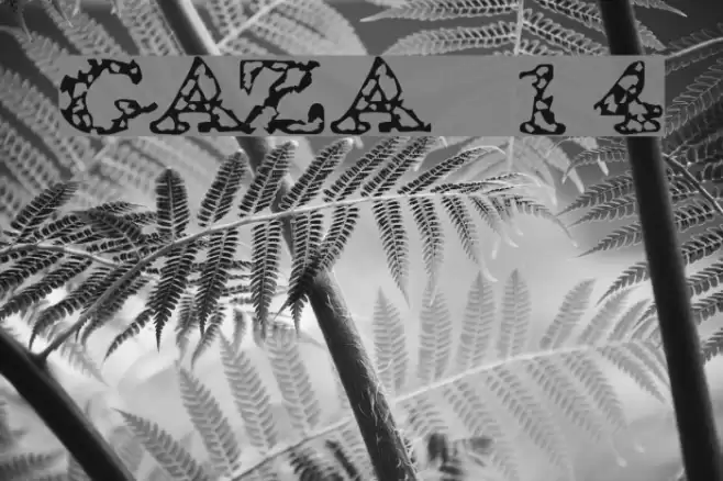 GAZA 14 Font examples