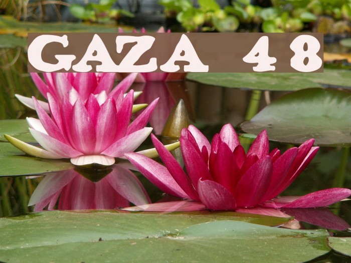 GAZA 48 Font examples