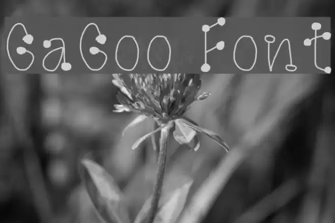 GaGoo Font examples
