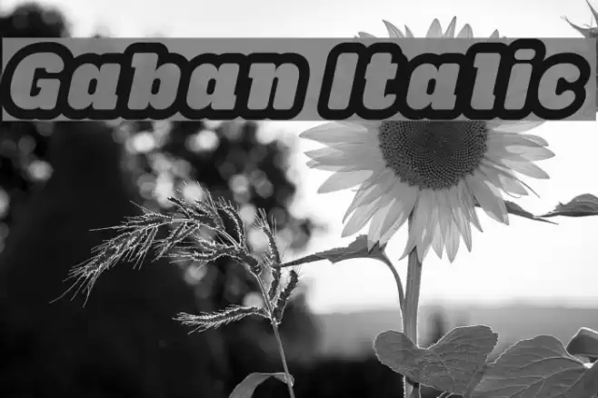 Gaban Italic Font examples