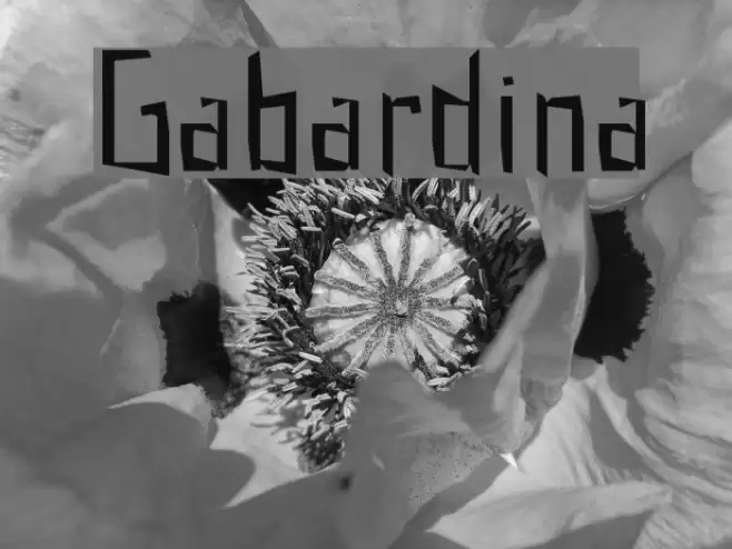 Gabardina Fuentes examples