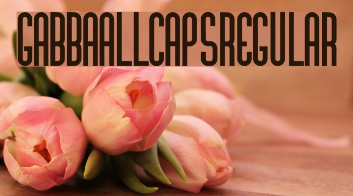 GabbaAllCaps-Regular Font examples