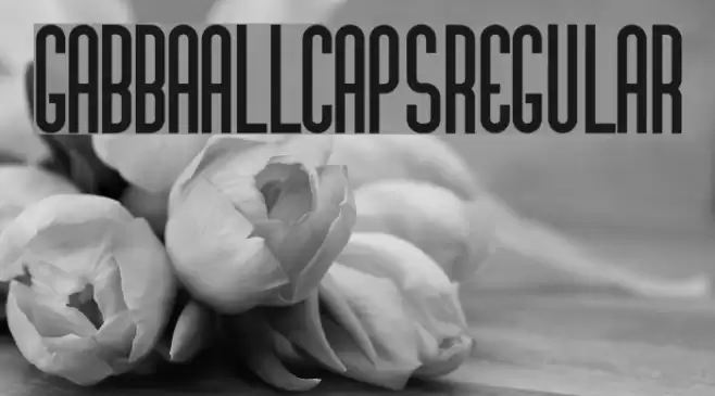 GabbaAllCaps-Regular Font examples