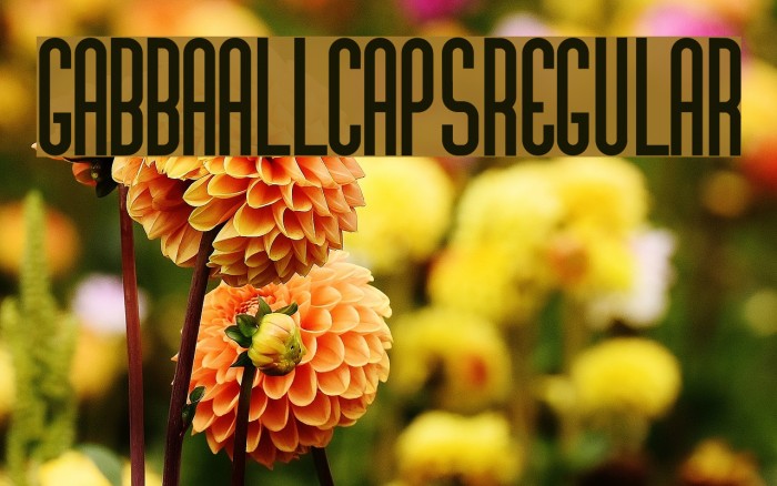 GabbaAllCaps-Regular Font examples