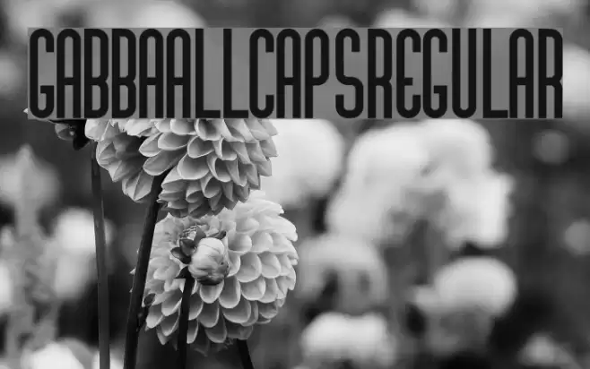 GabbaAllCaps-Regular Font examples