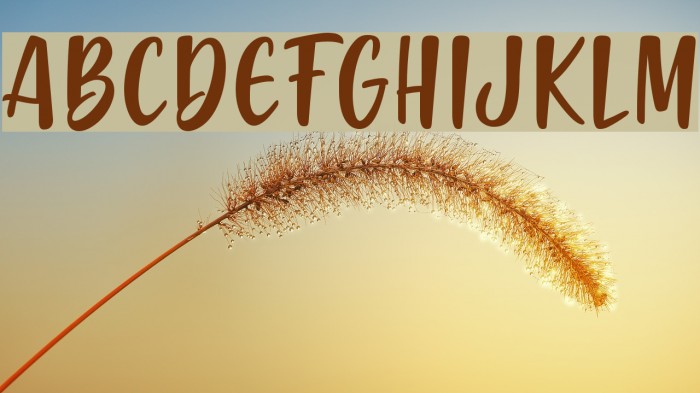 Gabelisa Font examples