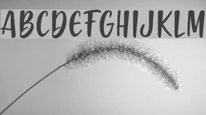 Gabelisa Font examples