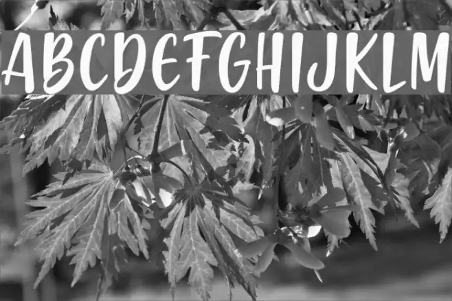 Gabelisa Font examples