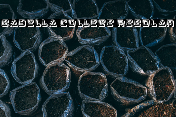 Gabella College Regular Example 2