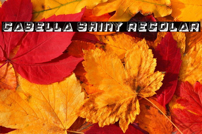 Gabella Shiny Regular Example 1