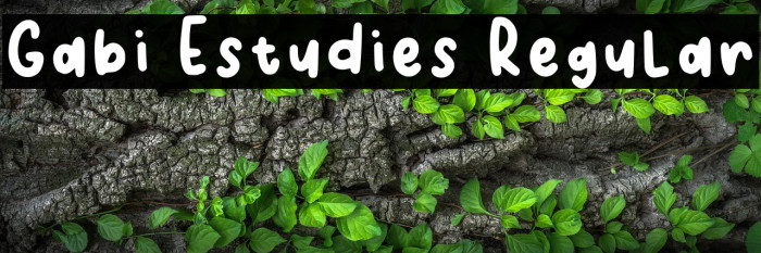 Gabi Estudies Regular Example 2