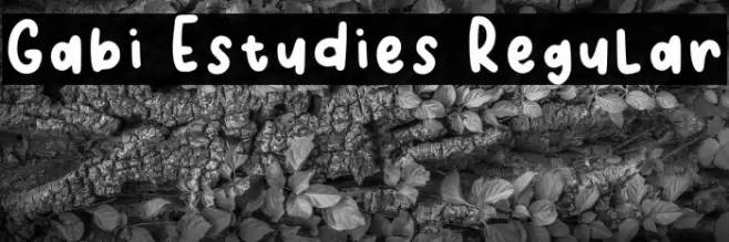 Gabi Estudies Regular Font examples