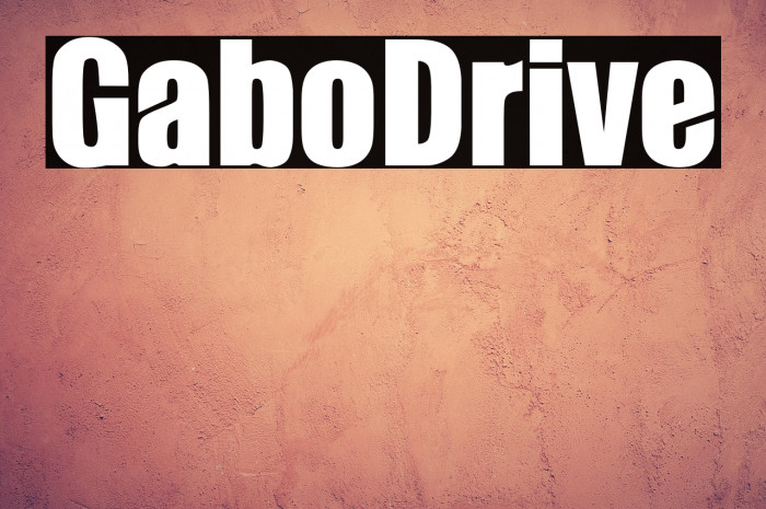 GaboDrive Example 1