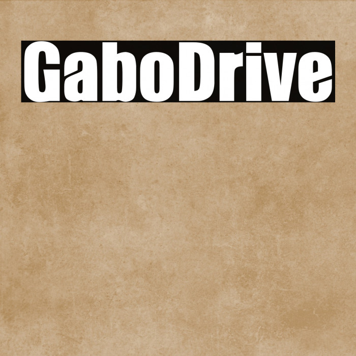 GaboDrive Example 2