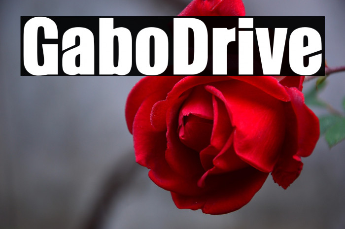 GaboDrive Example 3
