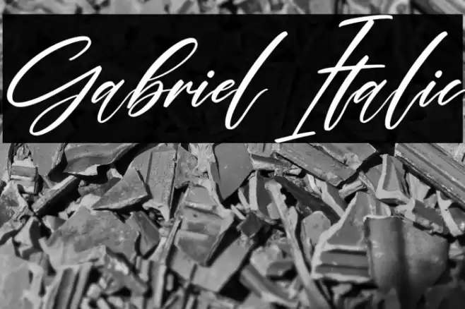 Gabriel Italic Font examples