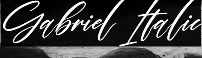 Gabriel Italic Font examples