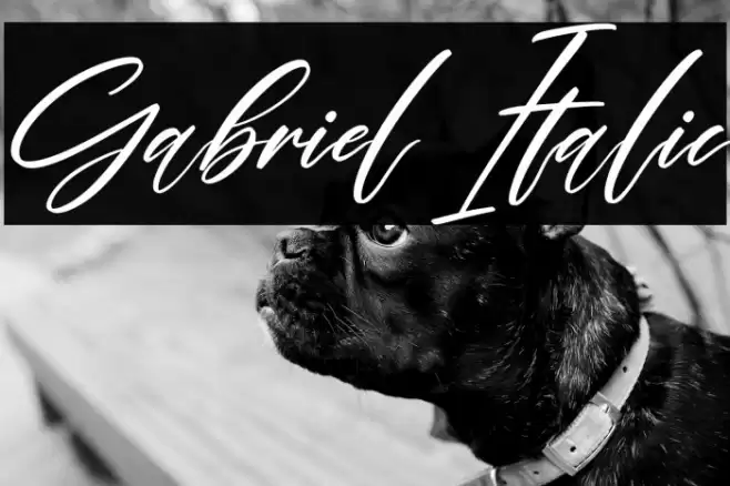 Gabriel Italic Font examples